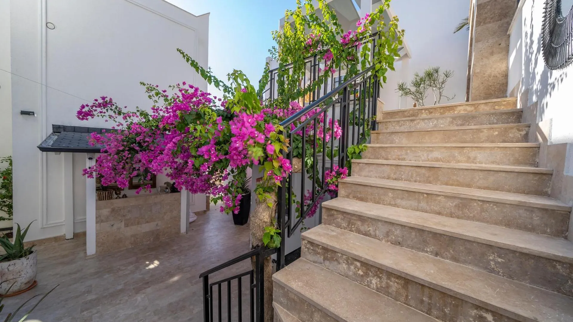 Noa Suite Hotel Only Adult Bodrum 5*,
