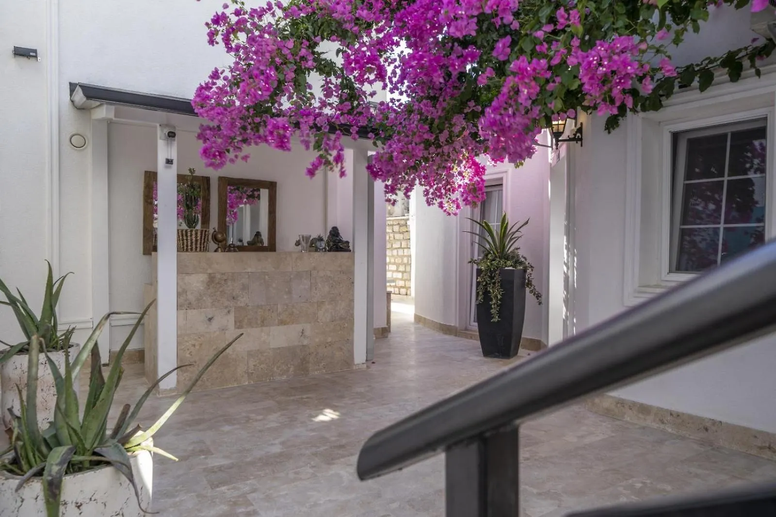 Noa Suite Hotel Only Adult Bodrum Appart hôtel